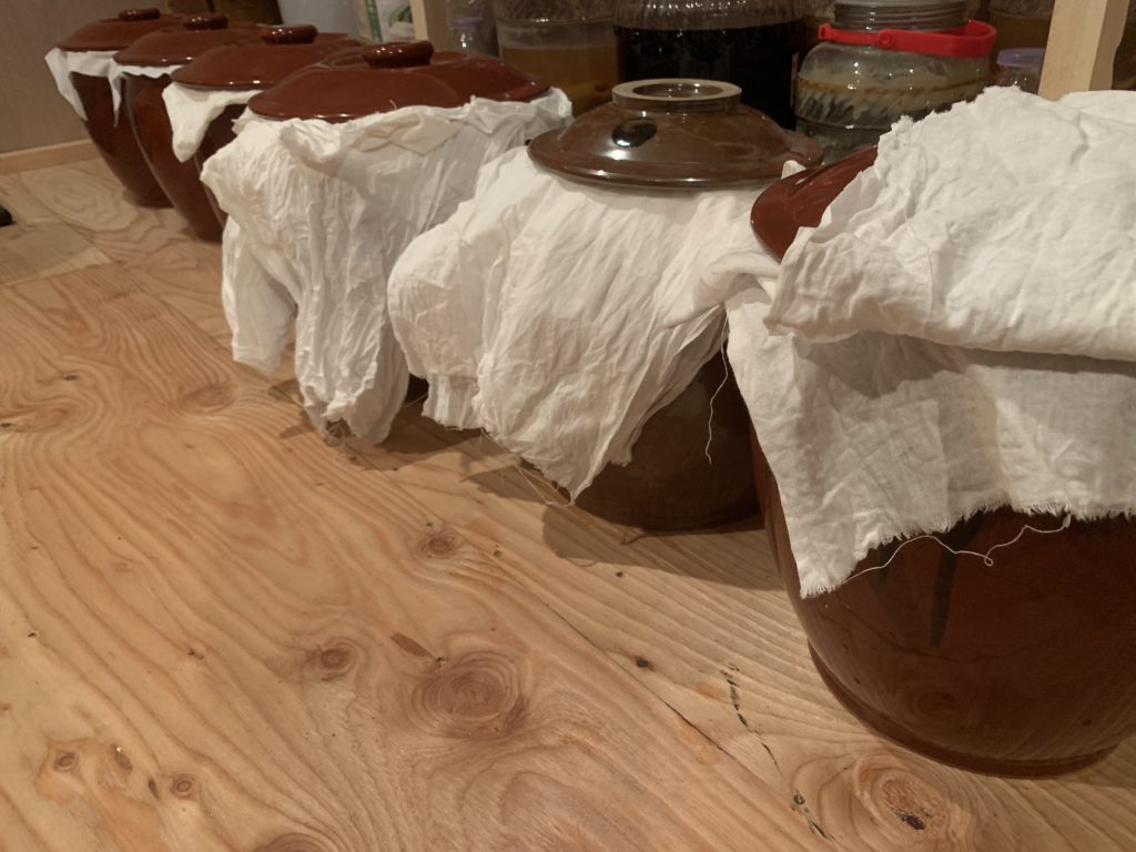 カメ 発酵 生味噌